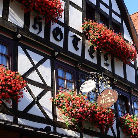 Hotel Zum Braunen Hirschen Bad Driburg Zewnętrze zdjęcie