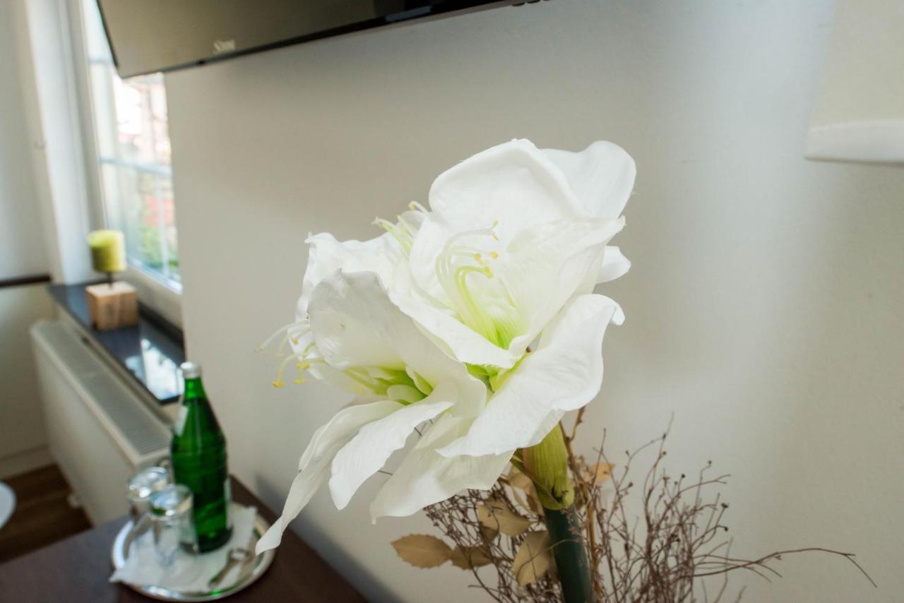 Hotel Zum Braunen Hirschen Bad Driburg Zewnętrze zdjęcie